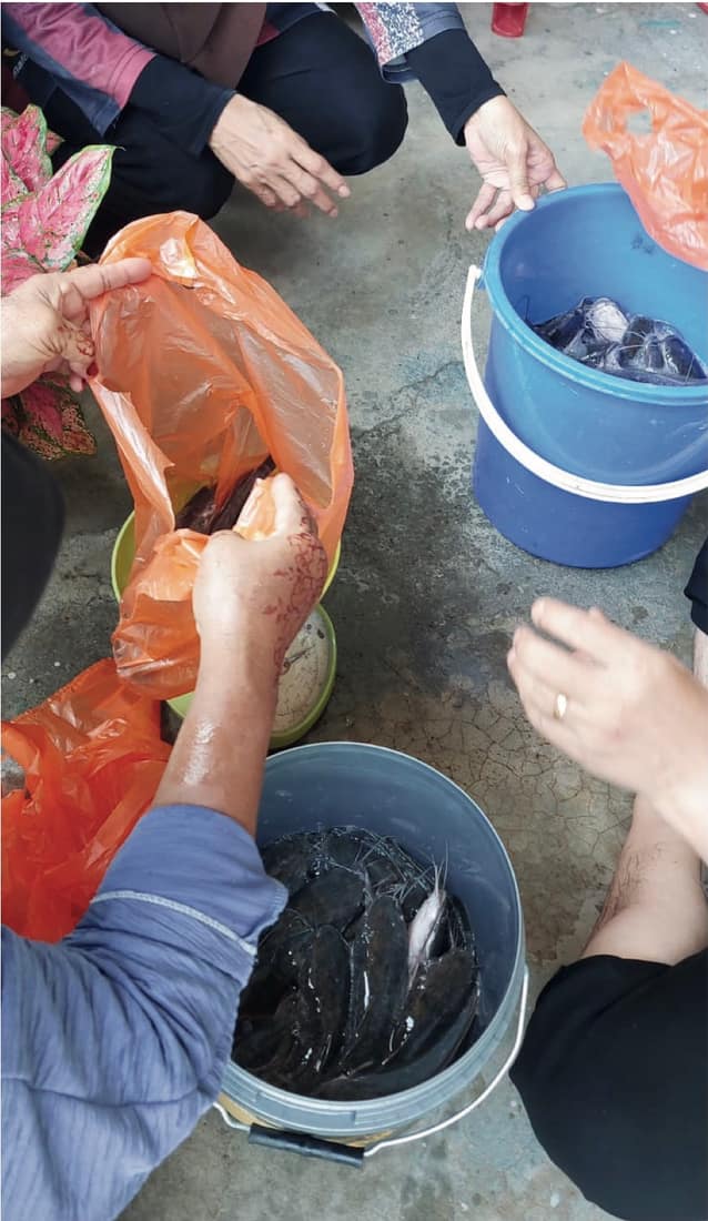 Kursus Penternakan Ikan — photo 1 of 5